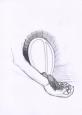 Drawings 3