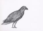Drawings 2