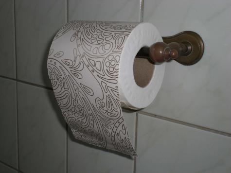 Untitled (toilet paper). Click to see next image.