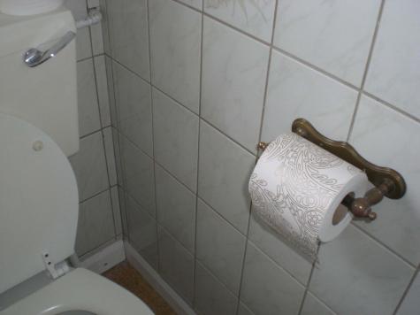 Untitled (toilet paper). Click to see next image.