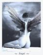 Digital Art 2004