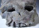 Wood Fired Skull