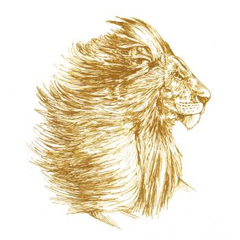 Lion. Click to see next image.