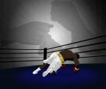 the lonelyness of a falling boxer