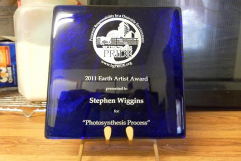 2011 Earth Artist Award. Click to see next image.